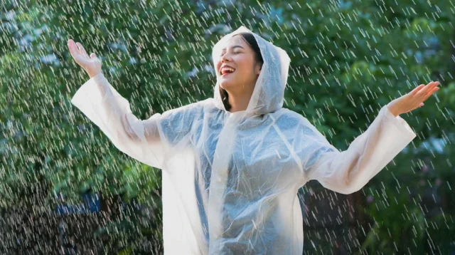 Pluviophile, Sipenyuka Hujan
